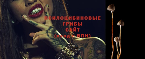 гашиш Бородино